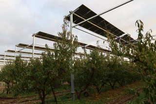 La Sefra, trois décennies d’essais dans le domaine fruitier