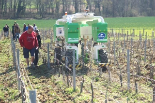 Le désherbage des vignes s’adapte à la réduction des intrants