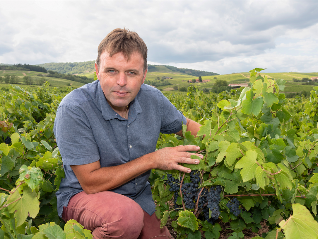 Le meilleur gamay du monde est un brouilly