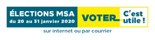 REGARDS SUR LA MSA