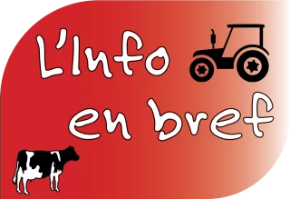 Chèque alimentaire, influenza, dégâts de la grêle, lait...