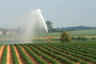 Renforcer la résilience de l’agriculture