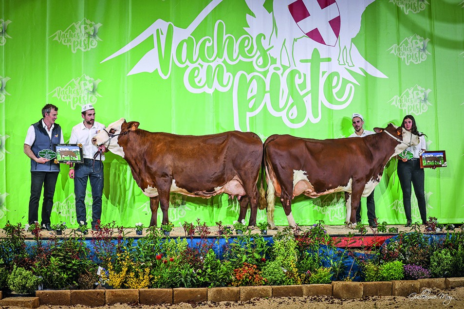 Époustouflant Salon Vaches en Piste, en Haute-Savoie ! 