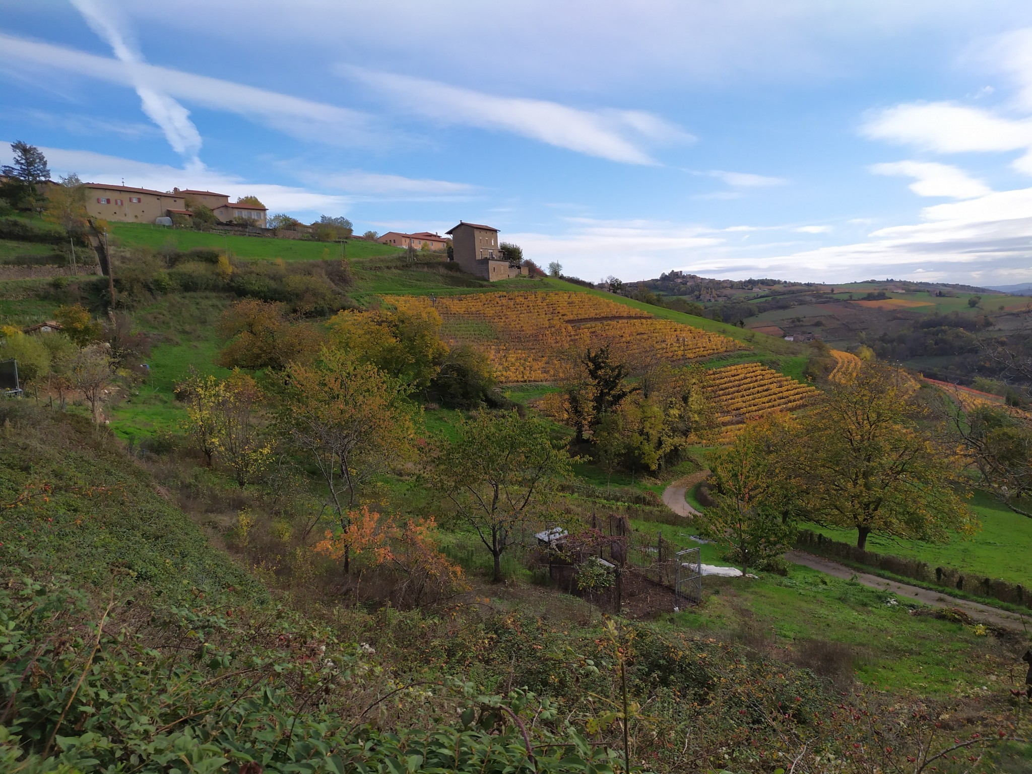 Les zones de revitalisation rurale reconduites