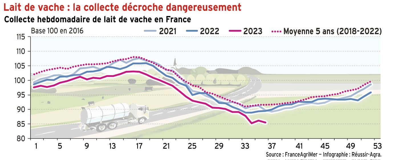 Lait de vache : la collecte décroche toujours
