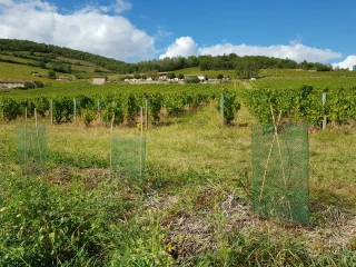 Compensation écologique : faible plus-value en agriculture
