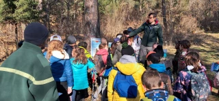Voyage au cœur de nos forêts