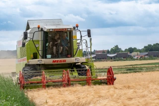 Optimisme pour la production céréalière européenne