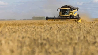 En 2050, le Kazakhstan ne sera plus un pays exportateur de céréales