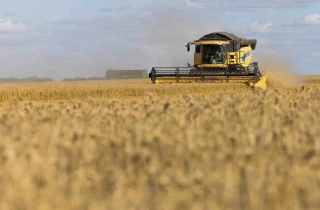 En 2050, le Kazakhstan ne sera plus un pays exportateur de céréales