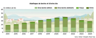 Troisième année de baisse pour les viandes de bovins et ovins bio 