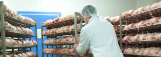 Le Brésil touché par la grippe aviaire