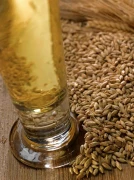 Orge et malt : la qualité maintient la compétitivité française