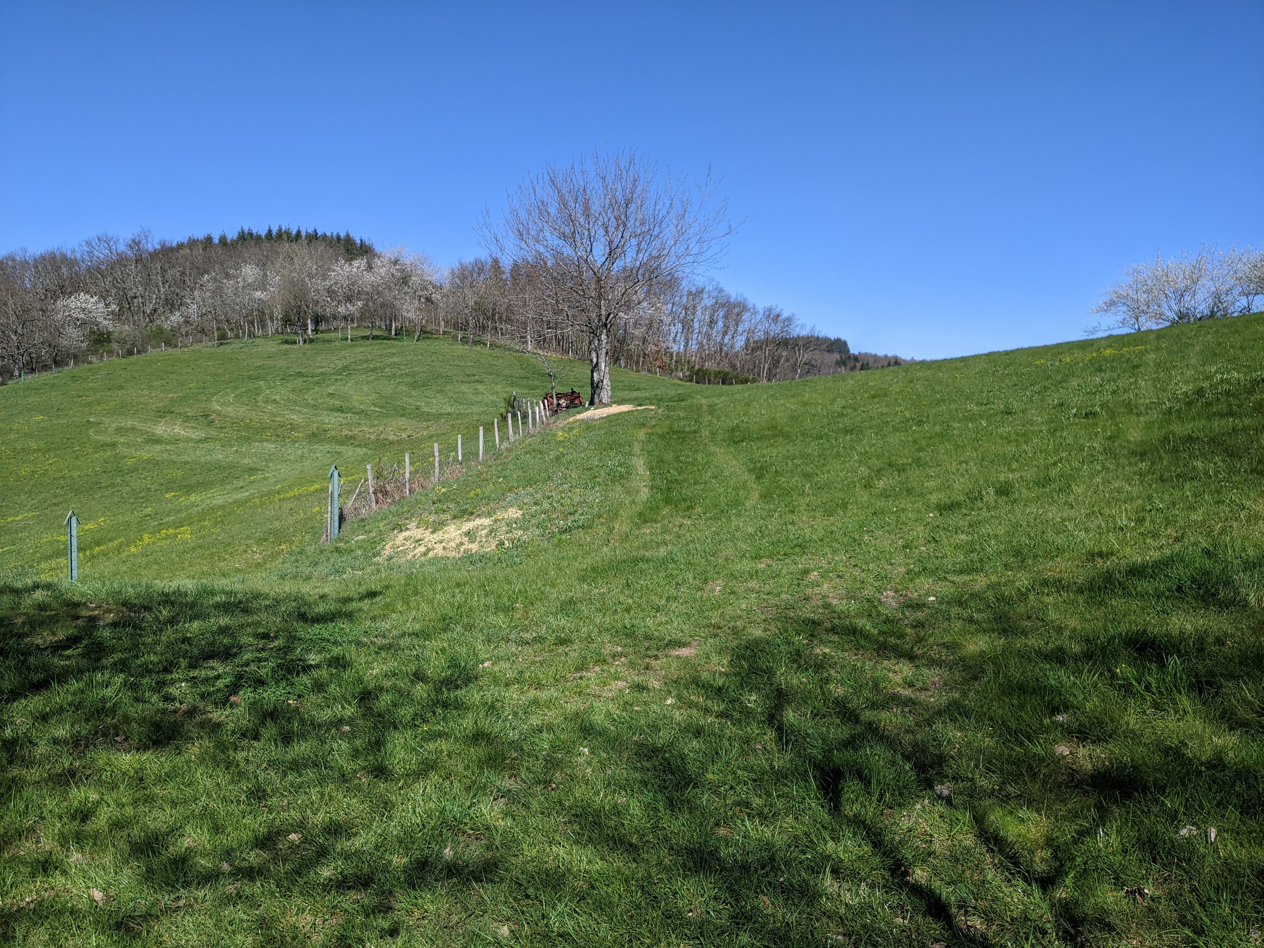 Douceur, soleil et sécheresse en mars