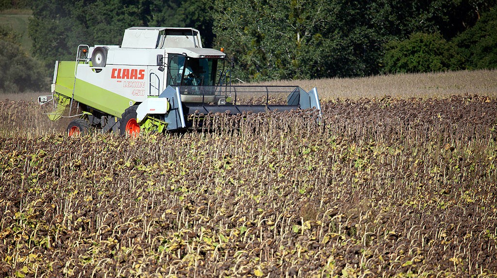 Les approvisionnements en tournesol sont sécurisés