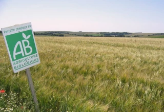 Le Parlement européen valide définitivement les mesures transitoires