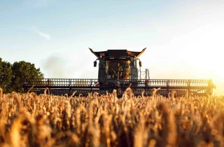 Céréales : La canicule précipite le déclin