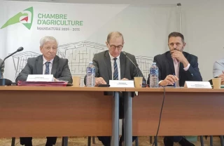 « Les crises ne sont plus exceptionnelles »