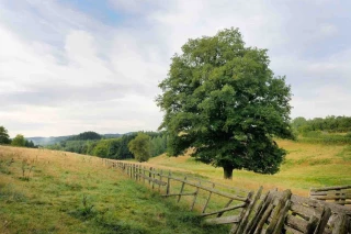 Le plan national « Agir pour restaurer la nature » dévoilé