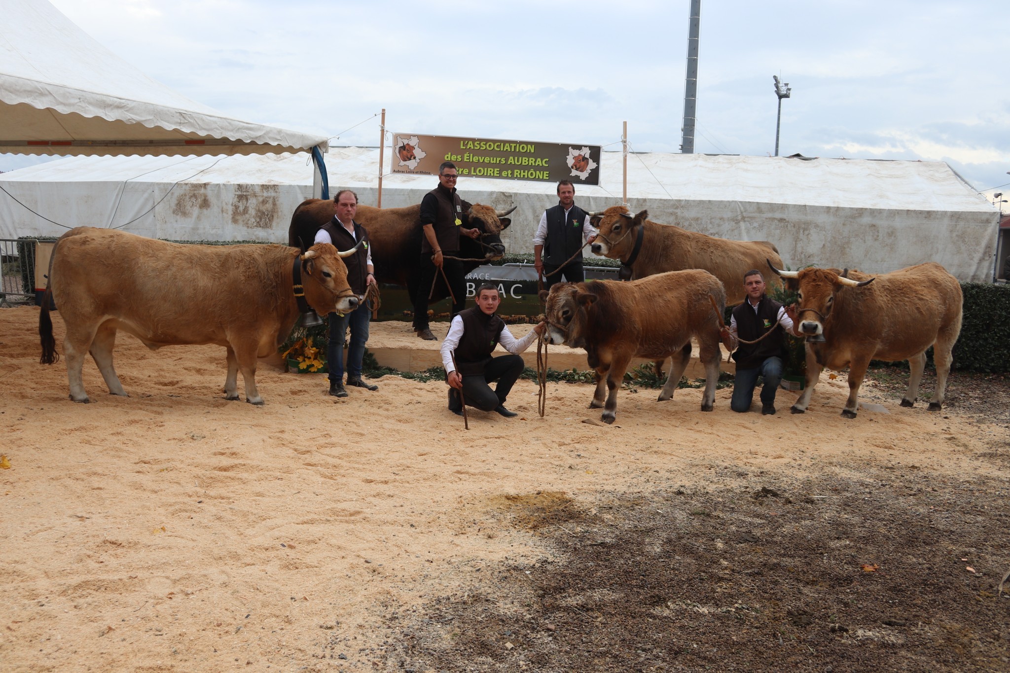 Race Aubrac : assurer une promotion individuelle et collective