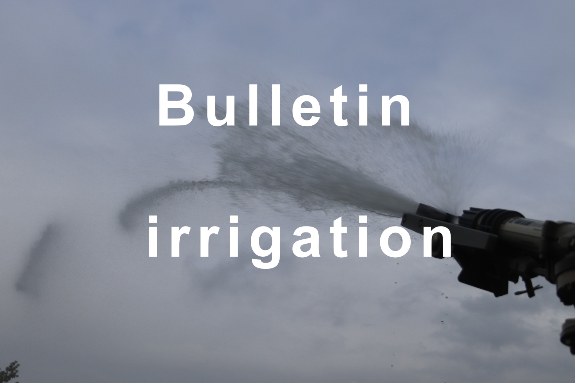 Bulletin d’irrigation du 28 août au 3 septembre