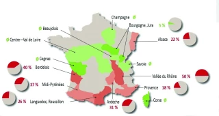 Coopératives viticoles :  le plan de la dernière chance ?