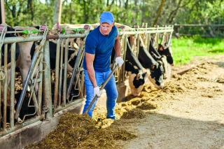 Groupements d’employeurs : répondre aux besoins de main-d’œuvre